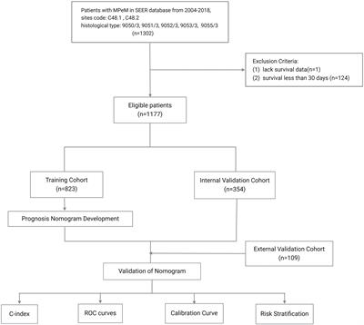 Survival prediction in peritoneal mesothelioma: a nomogram based on SEER data and a Chinese cohort